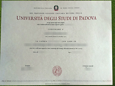 Università degli Studi di Padova diploma, fake University of Padua diploma,