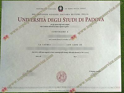 Università degli Studi di Padova diploma, fake University of Padua diploma,