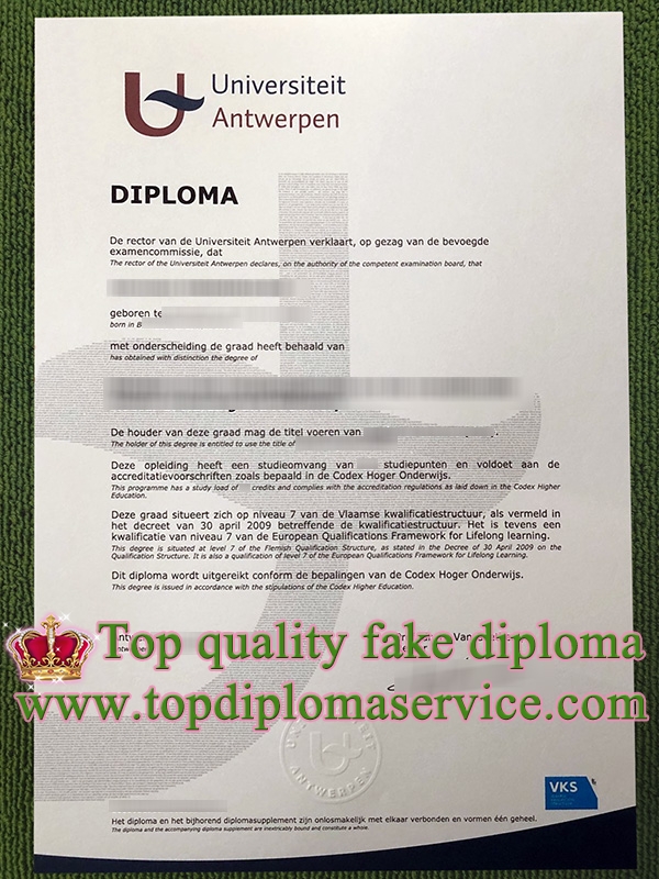 Universiteit Antwerpen diploma, fake University of Antwerp diploma,