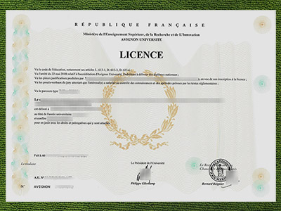 Read more about the article How to make a fake Avignon Université licence the easy way