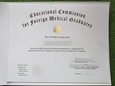 fake ECFMG certificate