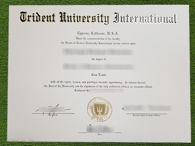 Trident University International diploma, fake Trident University International certificate,