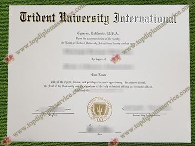 Read more about the article Try to get a fake Trident University International diploma online!