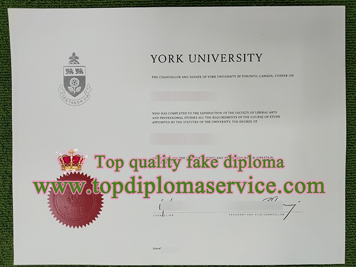 fake York University diploma,