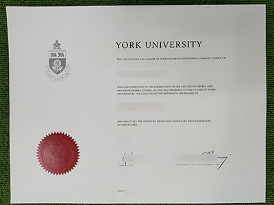 fake York University diploma,