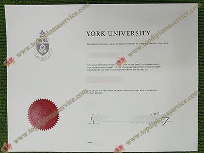 fake York University diploma,