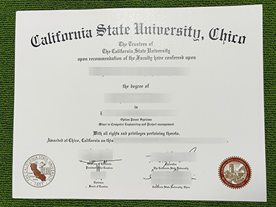 Read more about the article The truth behind using a fake Chico State certificate