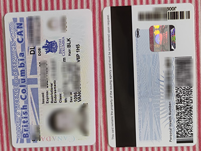 British Columbia Driver's License, British Columbia services card, fake BC ID card,