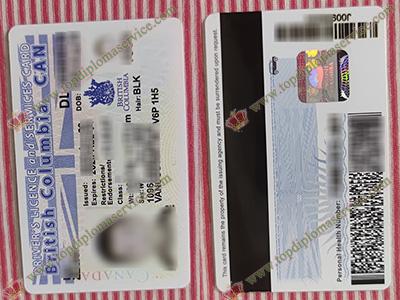 British Columbia Driver's License, British Columbia services card, fake BC ID card,