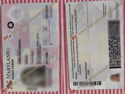 Maryland driver’s license, Maryland ID card,