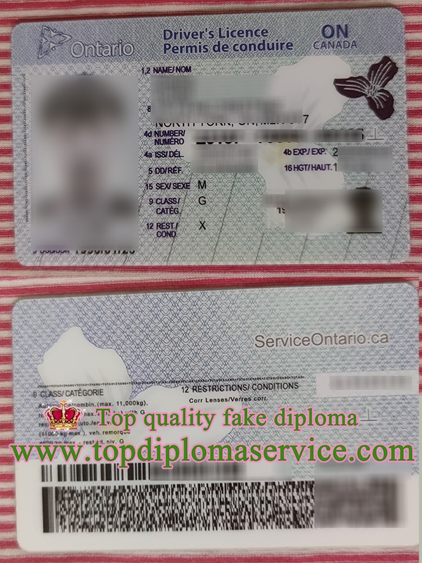 Ontario driver's licence, Ontario fake ID card,