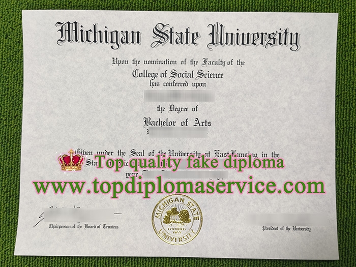 Michigan State University fake diploma,
