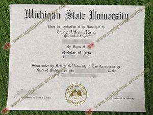 Michigan State University fake diploma,