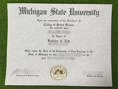Read more about the article Unbelievable story of Michigan State University fake diploma