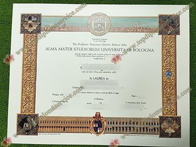 Università di Bologna laurea, fake University of Bologna diploma,