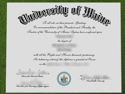 Read more about the article Everything you need know about University of Maine fake diploma