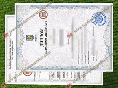 Kyiv University degree, Shevchenko University diploma, fake Kyiv University transcript,