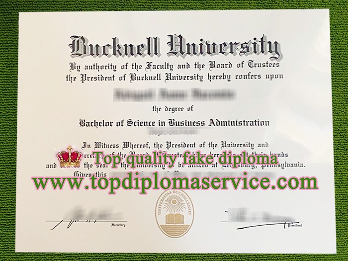 Bucknell University fake diploma,