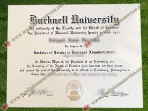 Bucknell University fake diploma