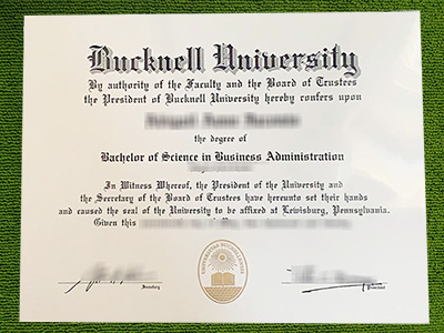 Read more about the article Clever tools to order Bucknell University fake diploma without risk