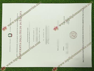 Read more about the article How a fake University of Padua diploma looks like