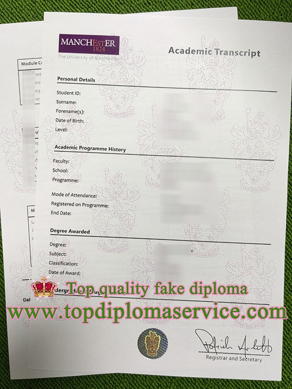 University of Manchester transcript