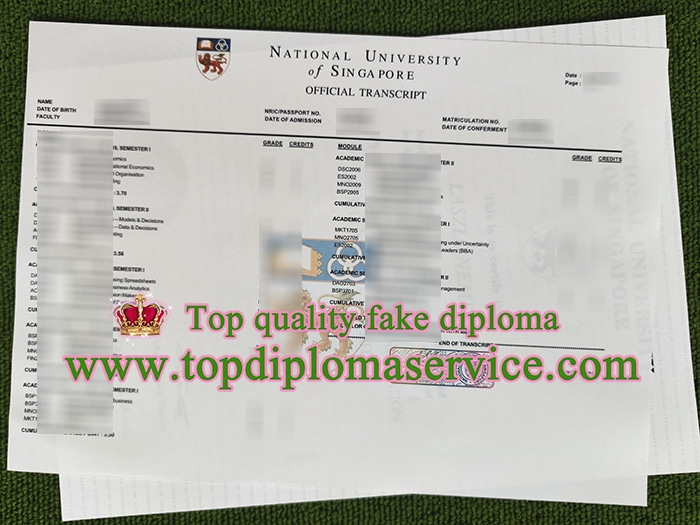 fake NUS transcript, National University of Singapore transcript,