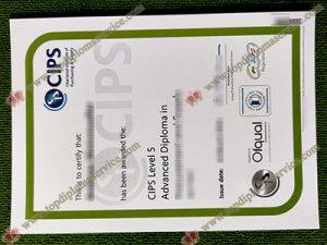 CIPS level 5 diploma, fake CIPS diploma,