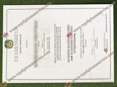 Read more about the article What’s the charge of fake University of Skövde degree certificate