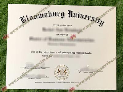 Read more about the article The top website to order a fake Bloomsburg University diploma