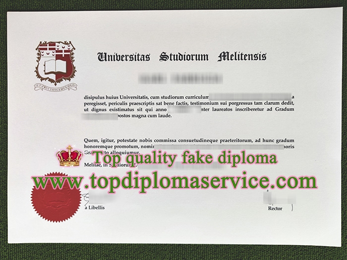 University of Malta diploma, University of Malta degree,