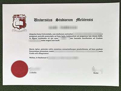 Read more about the article Best reasons to get fake University of Malta diploma for work