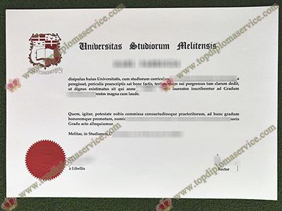 Read more about the article Best reasons to get fake University of Malta diploma for work