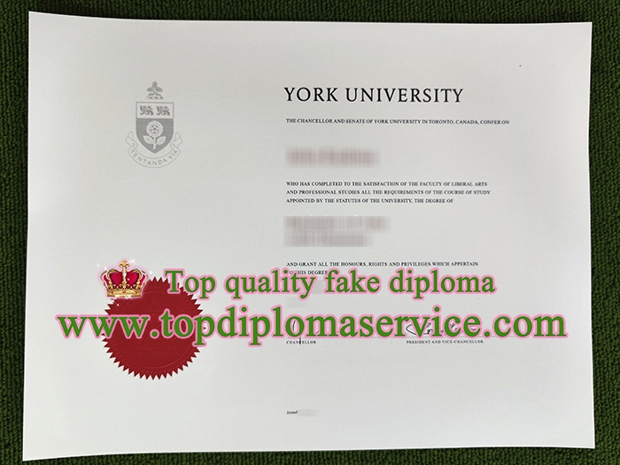 York University fake diploma 2022