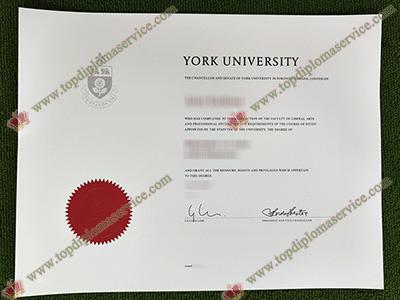 York University fake diploma 2022