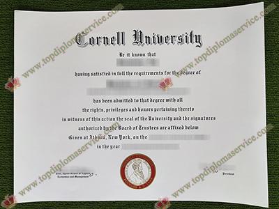 Read more about the article How to get Cornell University fake diploma and transcript