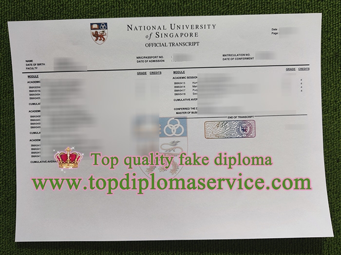 National University of Singapore transcript