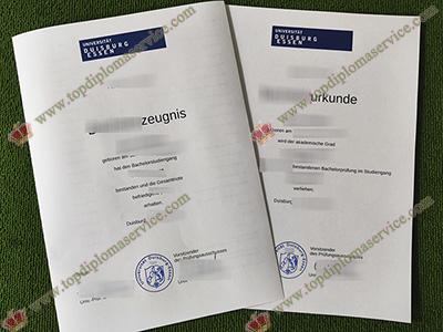 Read more about the article Myths about  fake University of Duisburg-Essen degree and transcript