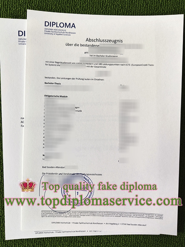 Diploma Hochschule transcript, Diploma Hochschule abschlusszeugnis,