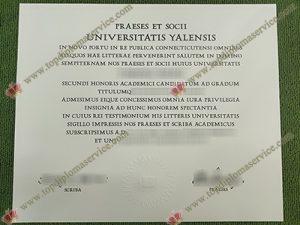 Yale University diploma, Yale University certificate,