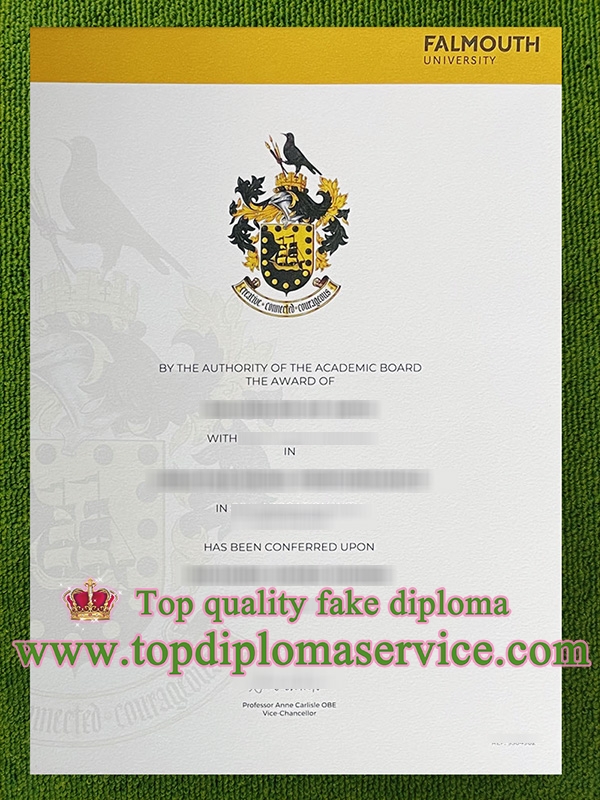 Falmouth University degree, Falmouth University diploma,