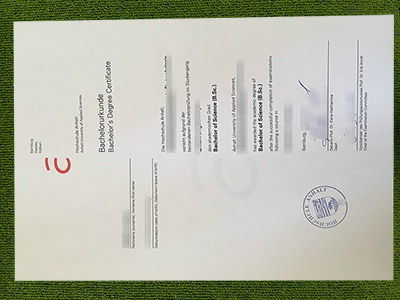 Hochschule Anhalt urkunde, Hochschule Anhalt certificate,