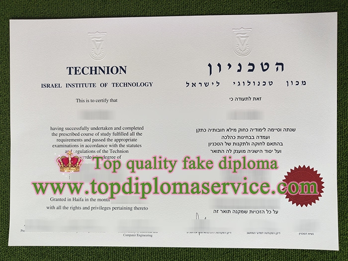Technion degree, Israel Institute of Technology diploma,