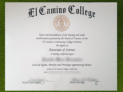 Read more about the article Guaranteed methods to get fake El Camino College diploma
