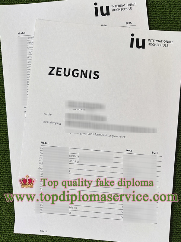 IU Internationale BEng zeugnis, IU transcript,