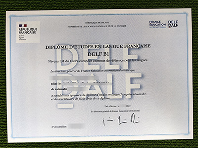 Read more about the article How can I order fake DELF B1 certificate online