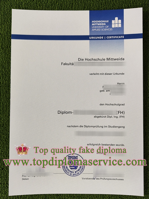 Hochschule Mittweida urkunde, Hochschule Mittweida diploma,