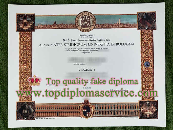 Università di Bologna laurea, University of Bologna diploma,
