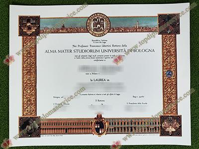 Università di Bologna laurea, University of Bologna diploma,