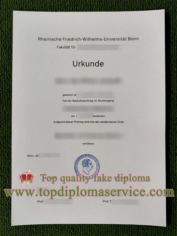 Universität Bonn urkunde, Bonn University diploma,
